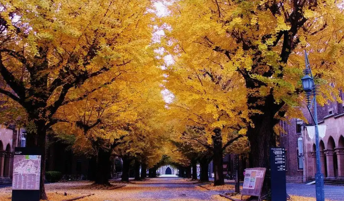 日本留学的九大忠告