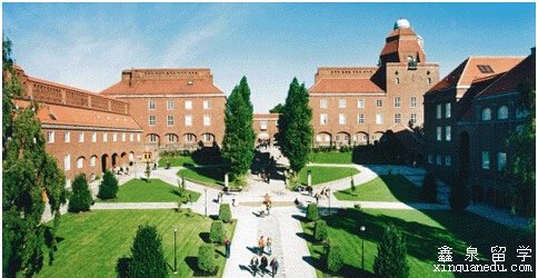 加州州立北岭分校