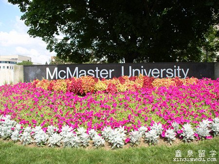 麦克马斯特大学