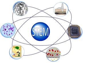 美国STEM专业学生OPT延期政策取消 美国STEM专业学生OPT延期政策取消