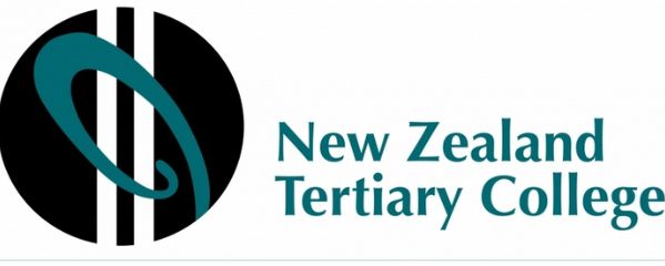 新西兰高等教育学院NZTC幼教专业申请条件