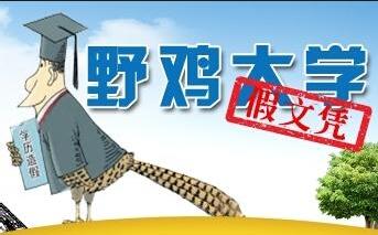野鸡大学又遭曝光