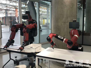 弗林德斯大学